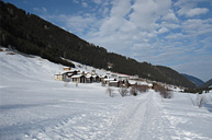 Selva in inverno