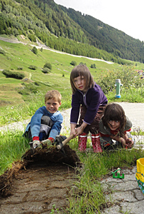 Steinbock oberhalb Milez