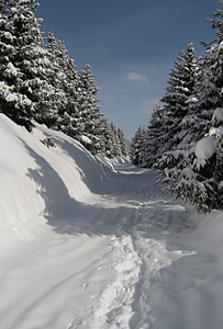 winter in Selva